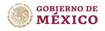Gobierno de México